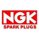 BUJIA BKR6E NGK (BRASIL) (NGK6962B)