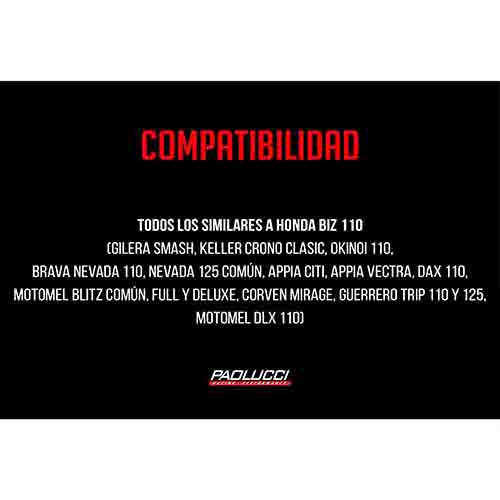 ESCAPE MOTO 110 ST1 CROMO DEPORTIVO PAOLUCCI (EM110P12-C/D)