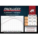 ESCAPE MOTO HONDA NEW TWISTER CB 250 ST2 CROMO DEPORTIVO PAOLUCCI (EM250NEWCB-22-C)