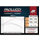 ESCAPE MOTO YAMAHA FZ25 250 ST2 CROMO DEPORTIVO PAOLUCCI (EM250FZ25 22-C/D)