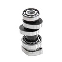 LEVA 150 CG COMPETICION/DEPORTIVO