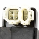 CDI MOTOMEL SKUA 250 FULL STD