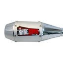 ESCAPE MOTO 110CC ST2 STYLE GRIS PAOLUCCI (EM110P23-SGR)