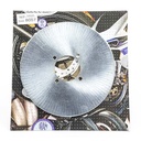 DISCO DE FRENO YAMAHA BLASTER TRASERO HYD (D8057)