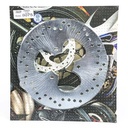 DISCO DE FRENO HONDA TRX 300 TRASERO HYD (D8075)