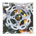 DISCO DE FRENO BETA MOTARD TRASERO HYD (D8120)