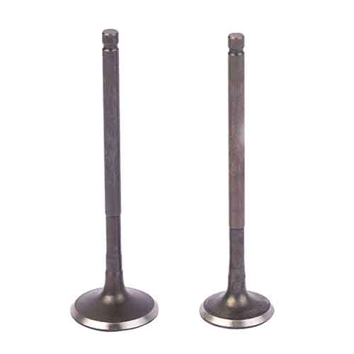 VALVULAS ZANELLA RX150/RD150/CE150 (JGO) STD