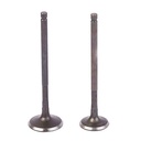 VALVULAS ZANELLA RX150/RD150/CE150 (JGO) STD