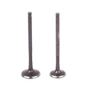 VALVULAS YAMAHA FZ16 FI (NUEVA) / SZ150 RR AD 28X80 ES 23.5X79.4 (JGO) STD