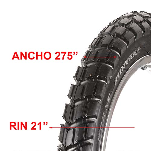 CUBIERTA HORNG FORTUNE 275X21 F884