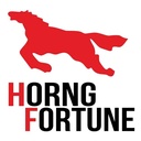 CUBIERTA HORNG FORTUNE 350X16 F890