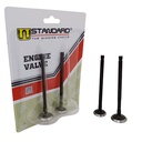 VALVULAS HONDA CB300F TWISTER / TORNADO XR300L (JGO 4 PCS) STD