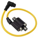 BOBINA DE IGNICION SECA POTENCIADA DZE (4081)