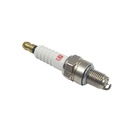 BUJIA IRIDIUM ILKR7B8 (ROUSER 200 NS) STD