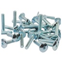 TORNILLO M6X20 PLATEADO P/PLASTICOS CABEZA Ø 16mm X UNIDAD PLASTICA VC (T003A)