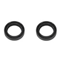 RETEN SUSPENSION HONDA CBX 250/ BAJAJ ROUSER NS200 37x50x11 JGO. REPCOR (J002RSH)