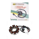 ESTATOR YAMAHA YBR 125 CHINA (8 BOBINAS) STD