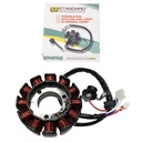 ESTATOR YAMAHA XTZ 125 (12 BOBINAS) M/N STD