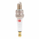 BUJIA IRIDIUM CPR8EA9 STD