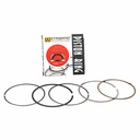 ARO PISTON BAJAJ ROUSER NS200 72 mm (STD) STD