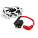 BOBINA DE IGNICION HONDA CB190 R/HONDA XR150L/GLH150 GAUCHA STD