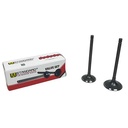 VALVULAS MOTOMEL XPLORA 250 AD 34X90.8 ES 28.5X82.6 (JGO) STD