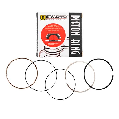 ARO PISTON MOTOMEL XPLORA 250/SKUA250 67mm (STD) STD