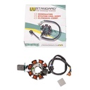 ESTATOR MOTOMEL SKUA 200 STD