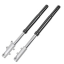 PIERNA DELANTERA COMP. MOTOMEL SIRIUS 250 (JGO) OEM