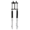 HORQUILLA DELANTERA COMPLETA MOTOMEL SKUA 200 OLD (GRIS CLARO) OEM