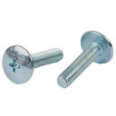 TORNILLO M6X20 PLATEADO P/PLASTICOS CABEZA Ø 16mm X UNIDAD PLASTICA VC (T003A)