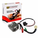 REGULADOR DE VOLTAJE MONOFASICO 12V BAJAJ ROUSER NS200 STD