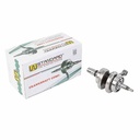 CIGUEÑAL COMPLETO CON BIELA BAJAJ ROUSER NS200 STD