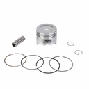 KIT PISTON GUERRERO TRIP 110 CAB. CONCAVA (GILERA SMASH 110 50mm) 1.25 STD