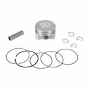 KIT PISTON MOTOMEL XPLORA 250/SKUA250/SKUA 200 V6 67mm (1.00) STD