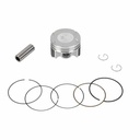 KIT PISTON PULSAR / ROUSER NS160 (58mm) (0.75) STD