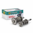 EJES Y ENGRANAJES DE CAMBIO BAJAJ ROUSER NS200 STD